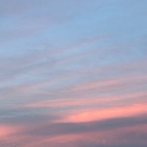 Meet your Posher, Ellie